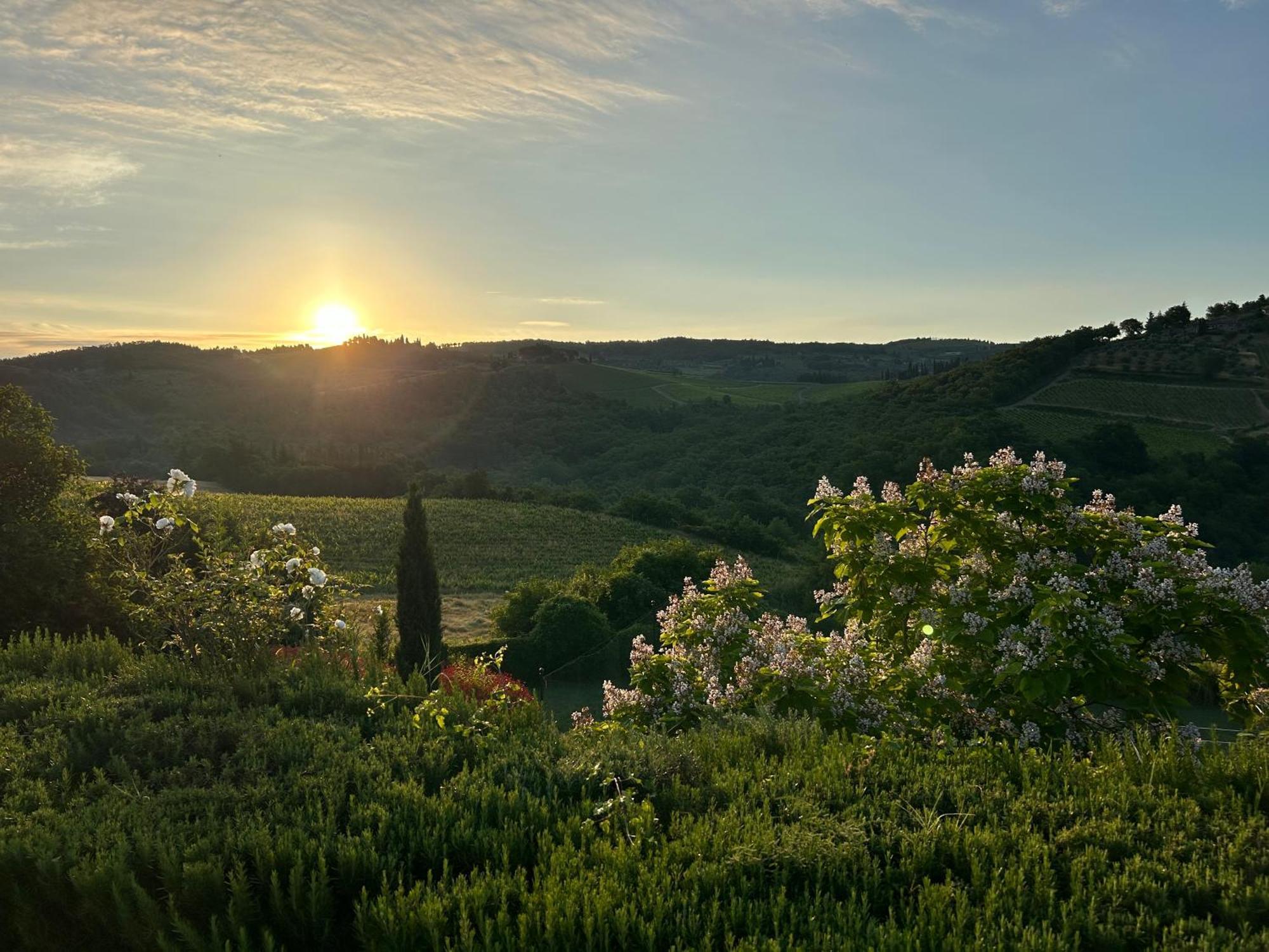 Rignana Estate Villa Greve in Chianti Eksteriør bilde